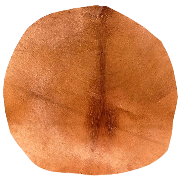 Rawhide drum heads brown