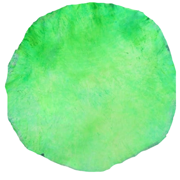 Rawhide drum heads green