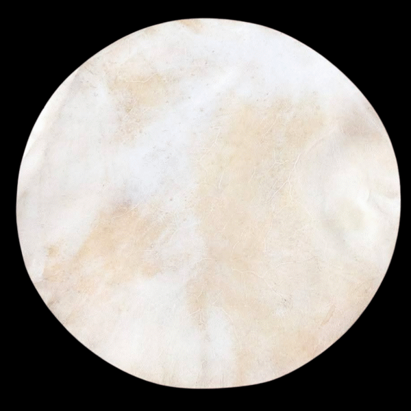 Rawhide drum heads white
